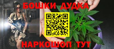 амф Бийск