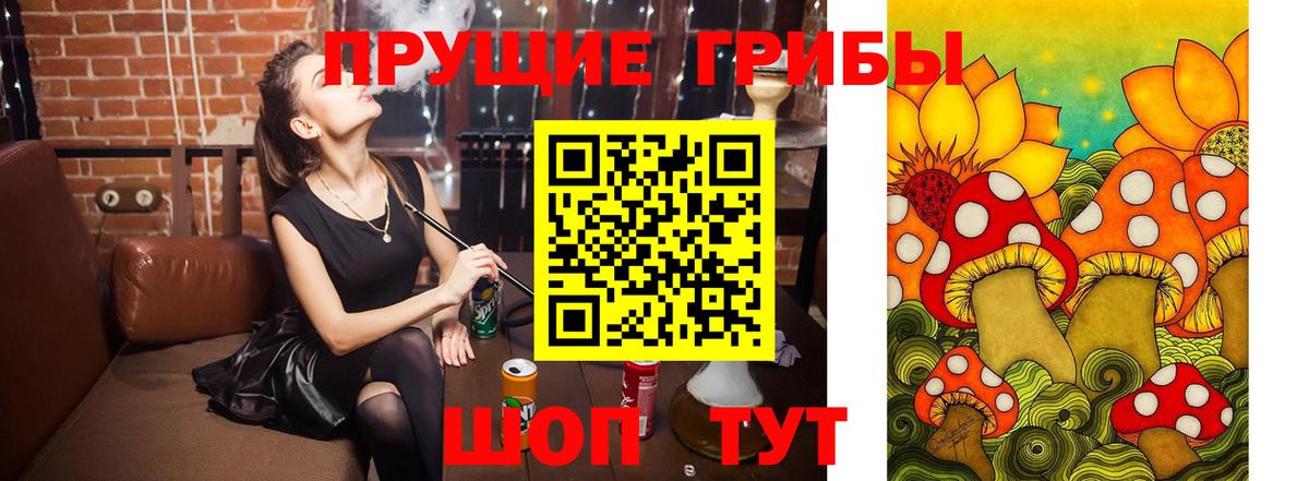 Псилоцибиновые грибы ЛСД Зеленокумск