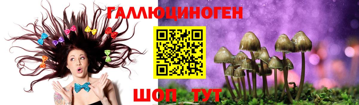 Зеленокумск  Галлюциногенные грибы GOLDEN TEACHER  Вход с VPN  Псилоцибиновые грибы прущие грибы 